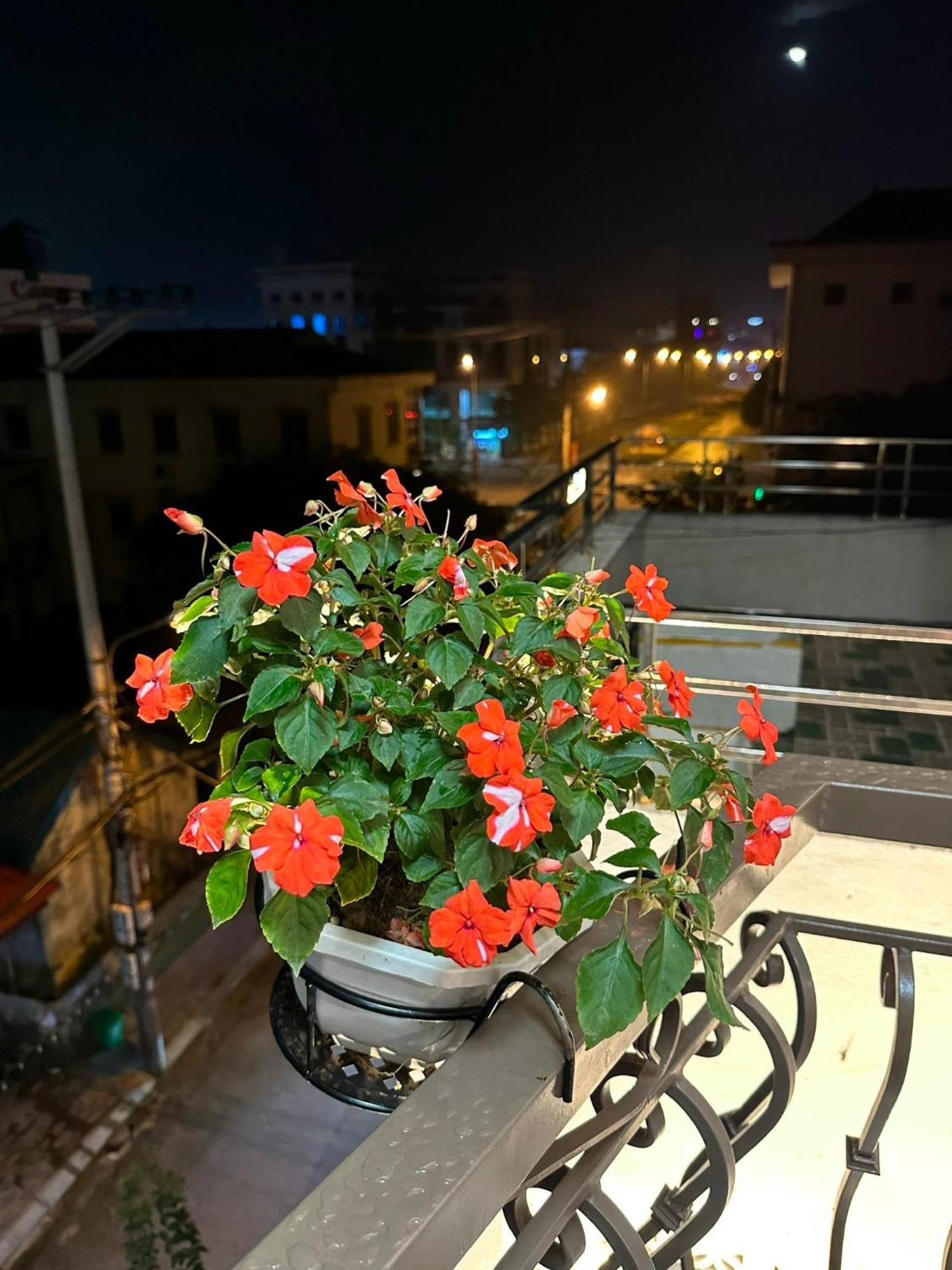 Dolce Mia Home Ninh Binh Buitenkant foto
